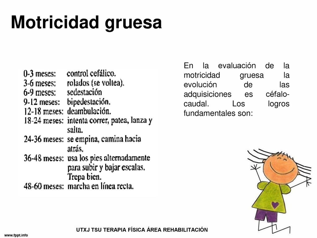actividades de motricidad fina para bebes de 6 a 9 meses