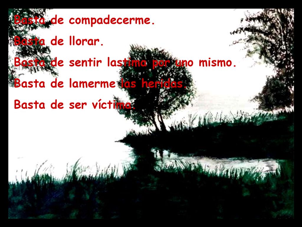 Basta de sentir lastima por uno mismo. Basta de lamerme las heridas.