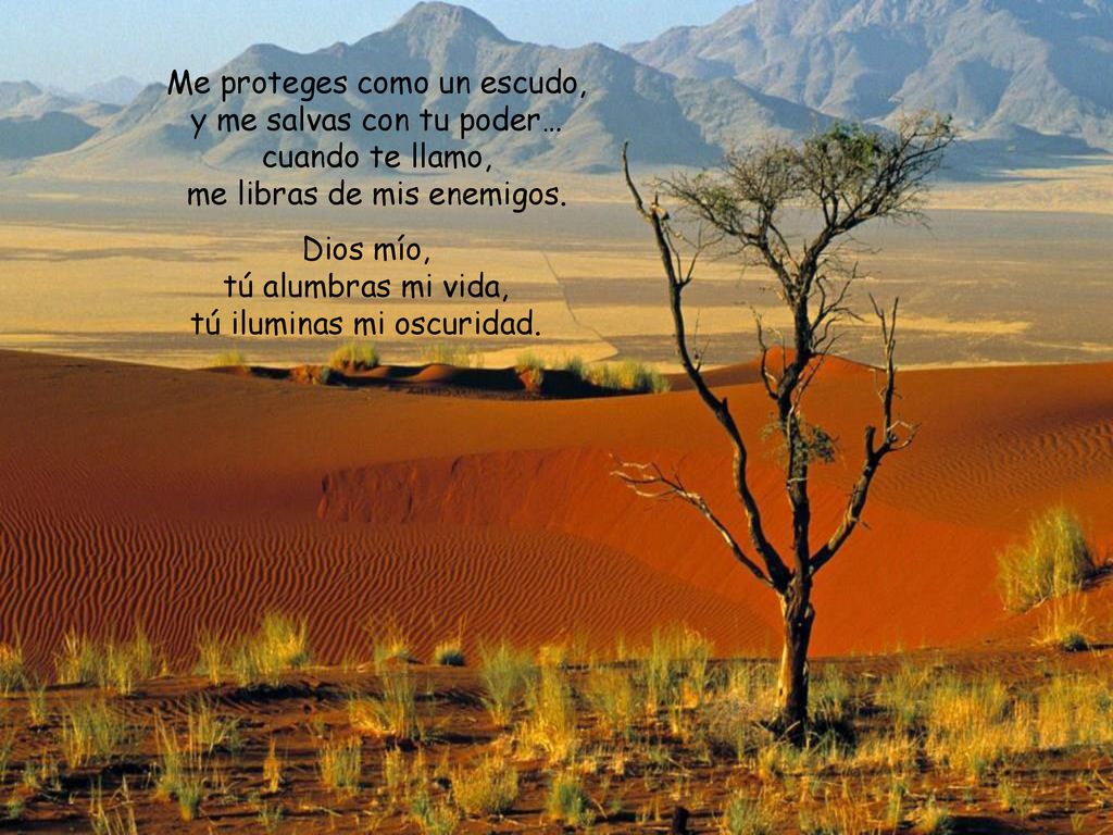 Dios mío, tú alumbras mi vida, tú iluminas mi oscuridad.