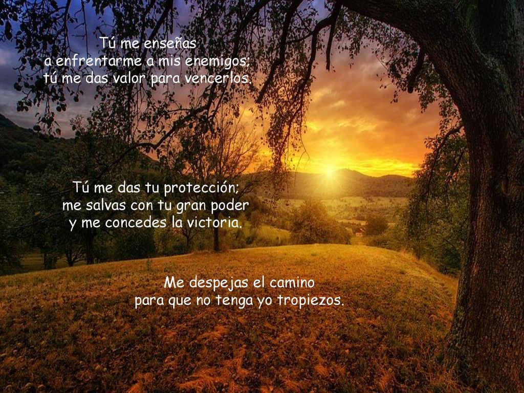 Me despejas el camino para que no tenga yo tropiezos.