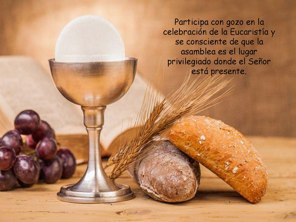 Participa con gozo en la celebración de la Eucaristía y se consciente de que la asamblea es el lugar privilegiado donde el Señor está presente.