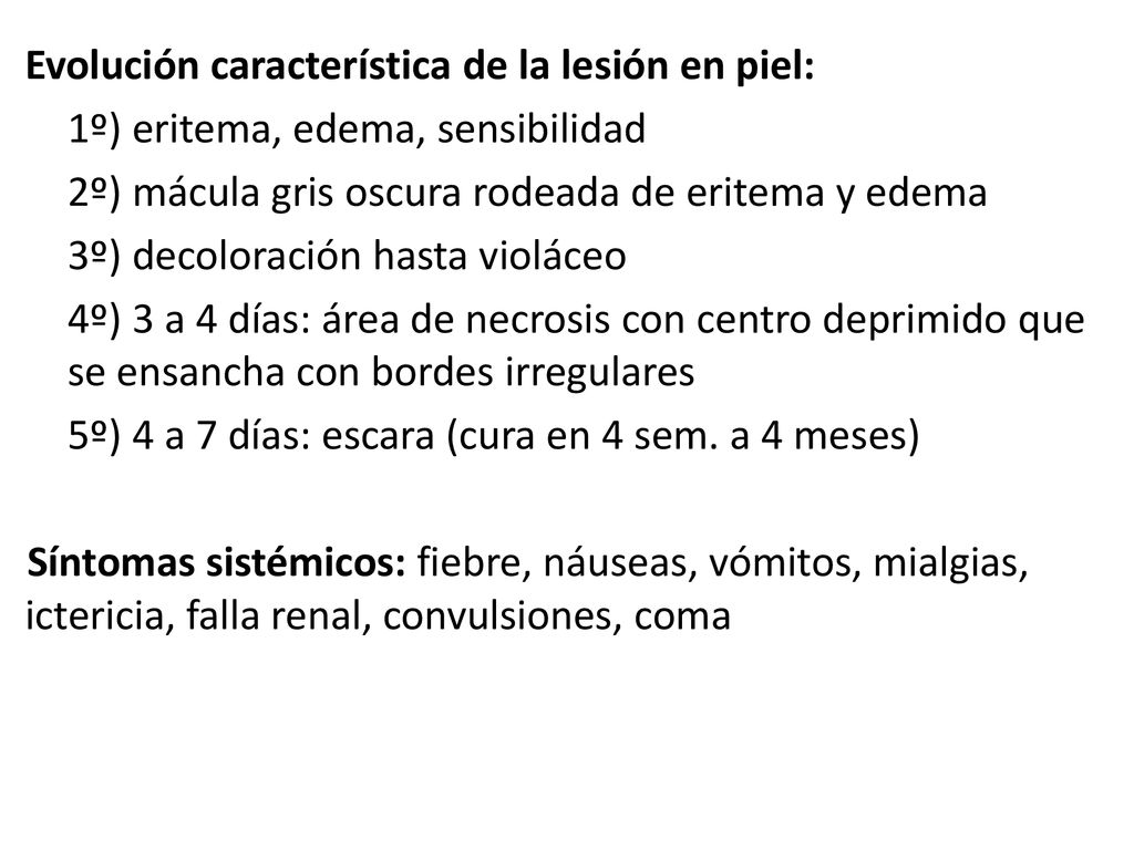 Evolución característica de la lesión en piel: 1º) eritema, edema, sensibilidad 2º) mácula gris oscura rodeada de eritema y edema 3º) decoloración hasta violáceo 4º) 3 a 4 días: área de necrosis con centro deprimido que se ensancha con bordes irregulares 5º) 4 a 7 días: escara (cura en 4 sem.