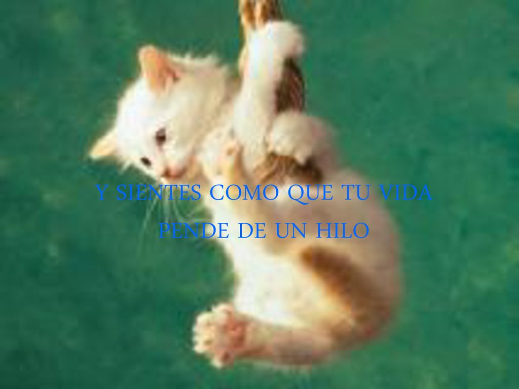 Y SIENTES COMO QUE TU VIDA PENDE DE UN HILO