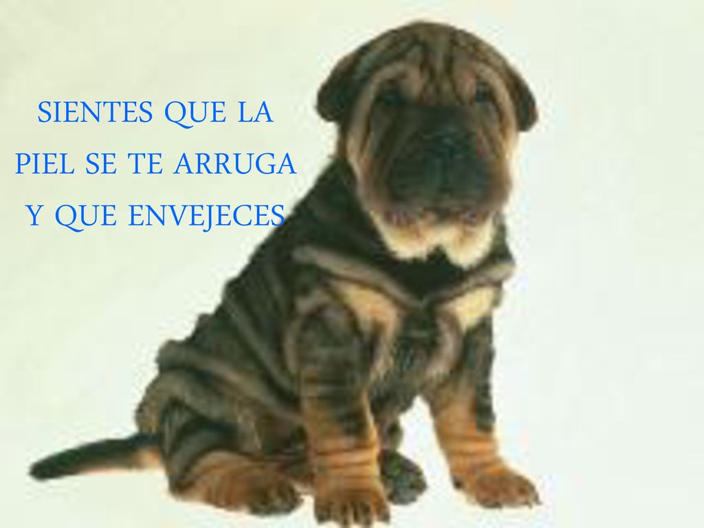 SIENTES QUE LA PIEL SE TE ARRUGA Y QUE ENVEJECES