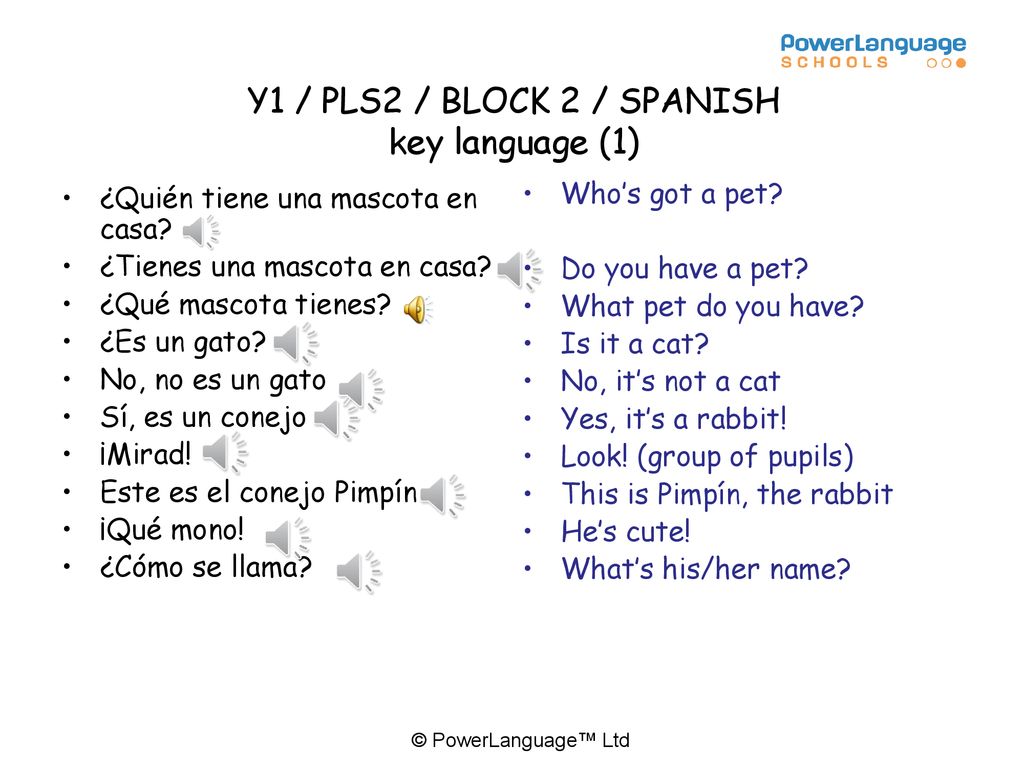 Y1 / PLS2 / BLOCK 2 / SPANISH key language (1)