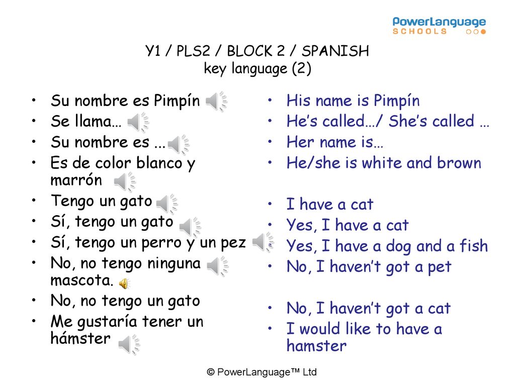 Y1 / PLS2 / BLOCK 2 / SPANISH key language (2)