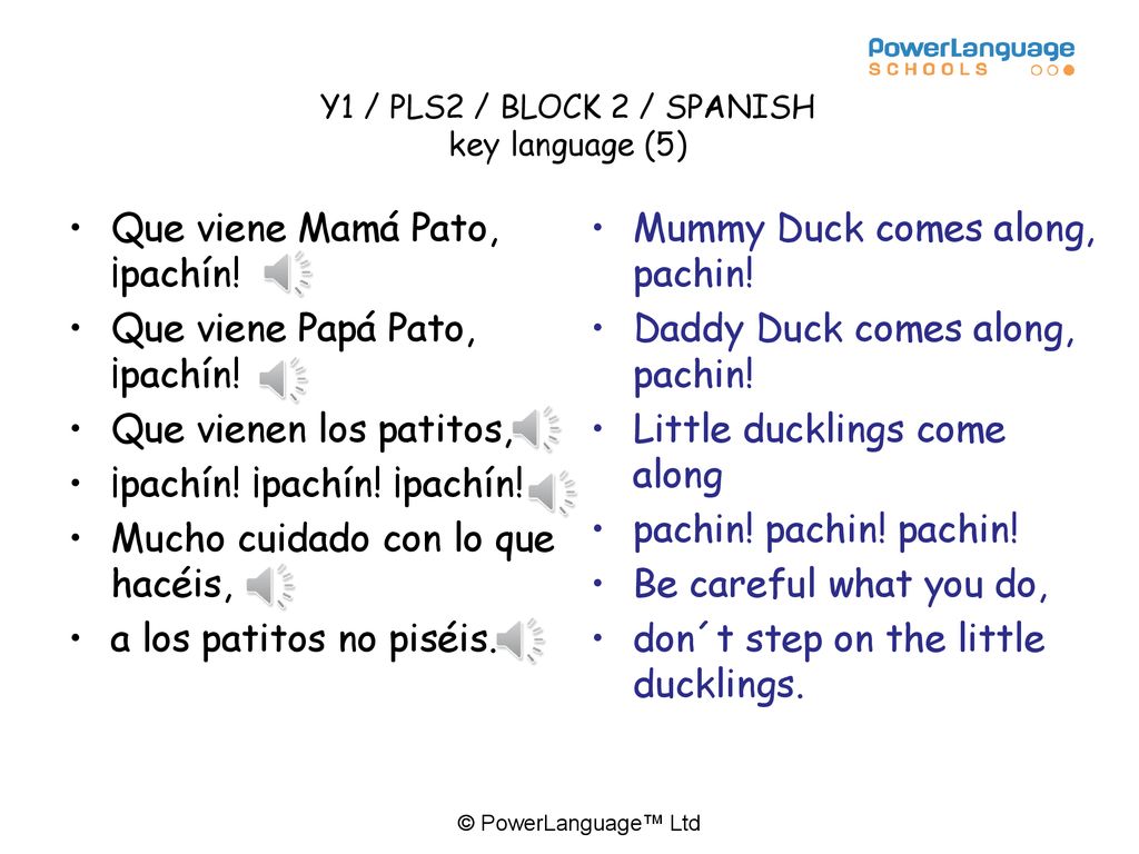 Y1 / PLS2 / BLOCK 2 / SPANISH key language (5)