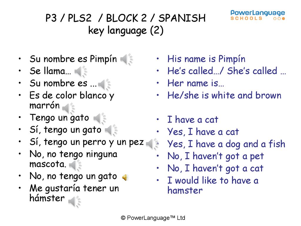 P3 / PLS2 / BLOCK 2 / SPANISH key language (2)