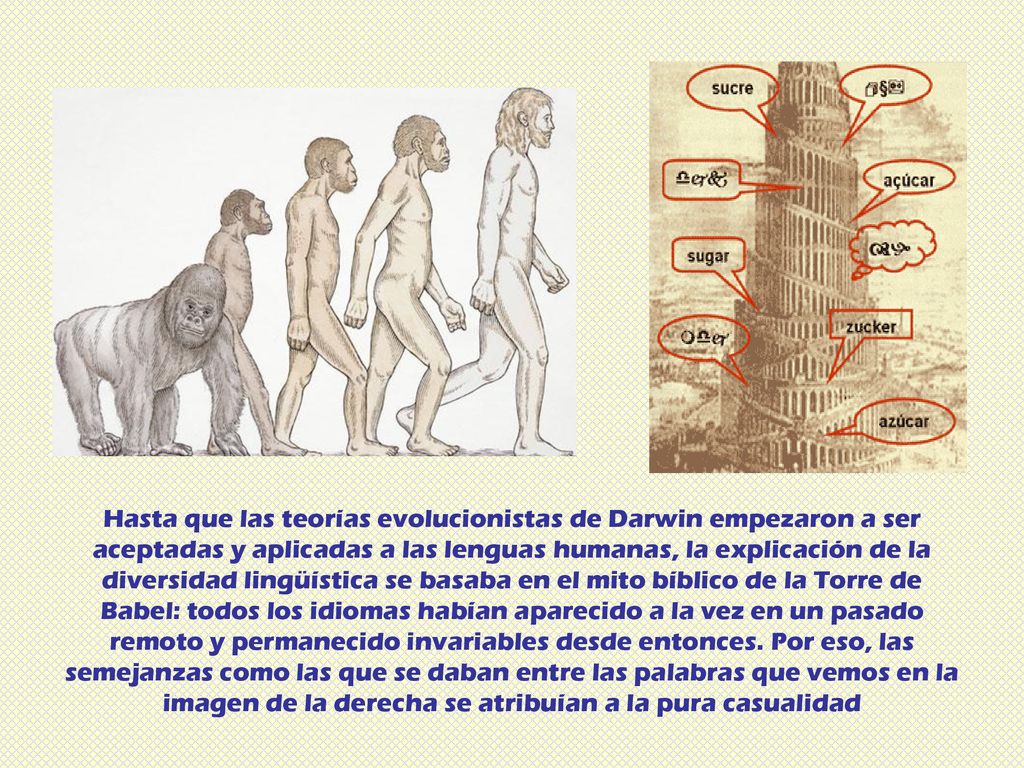 Hasta que las teorías evolucionistas de Darwin empezaron a ser aceptadas y aplicadas a las lenguas humanas, la explicación de la diversidad lingüística se basaba en el mito bíblico de la Torre de Babel: todos los idiomas habían aparecido a la vez en un pasado remoto y permanecido invariables desde entonces.