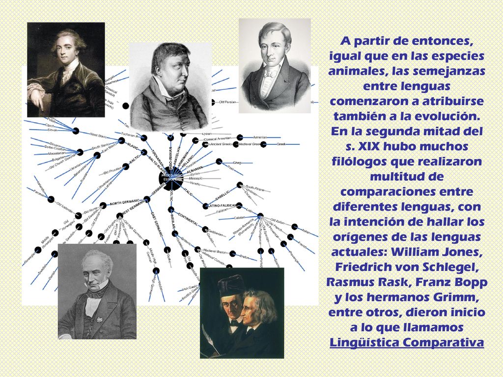A partir de entonces, igual que en las especies animales, las semejanzas entre lenguas comenzaron a atribuirse también a la evolución.
