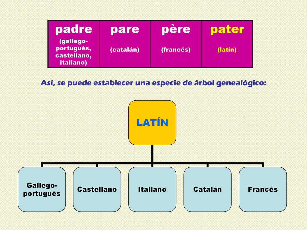 padre (gallego-portugués, castellano, italiano) pare. (catalán) père. (francés) pater. (latín)