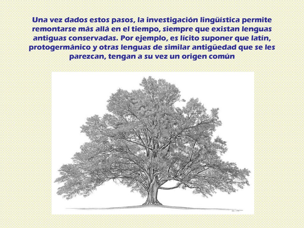 Una vez dados estos pasos, la investigación lingüística permite remontarse más allá en el tiempo, siempre que existan lenguas antiguas conservadas.