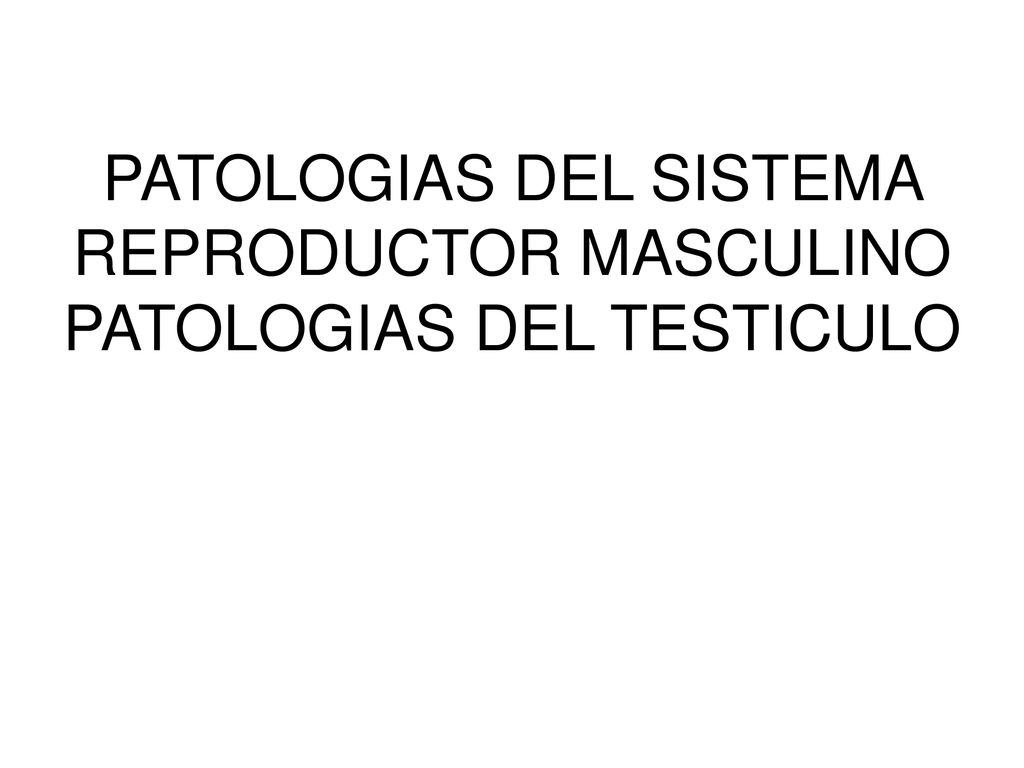 PATOLOGIAS DEL SISTEMA REPRODUCTOR MASCULINO PATOLOGIAS DEL TESTICULO
