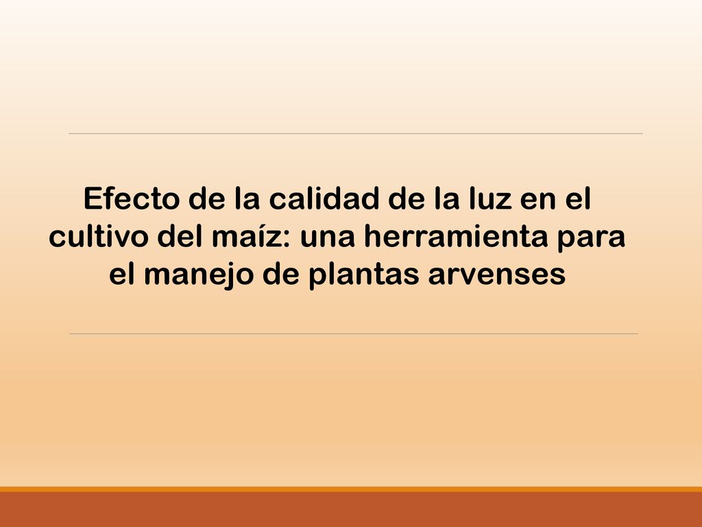 Efecto de la calidad de la luz en el cultivo del maíz: una herramienta para el manejo de plantas arvenses