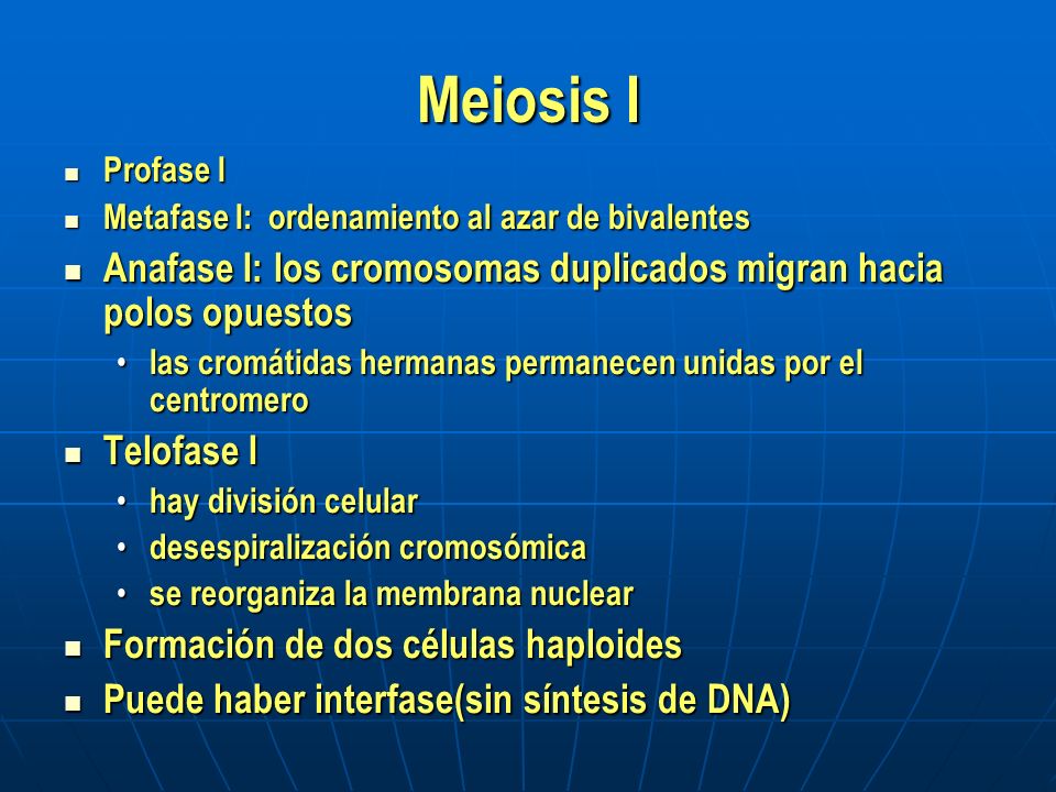 Meiosis I Profase I. Metafase I: ordenamiento al azar de bivalentes. Anafase I: los cromosomas duplicados migran hacia polos opuestos.