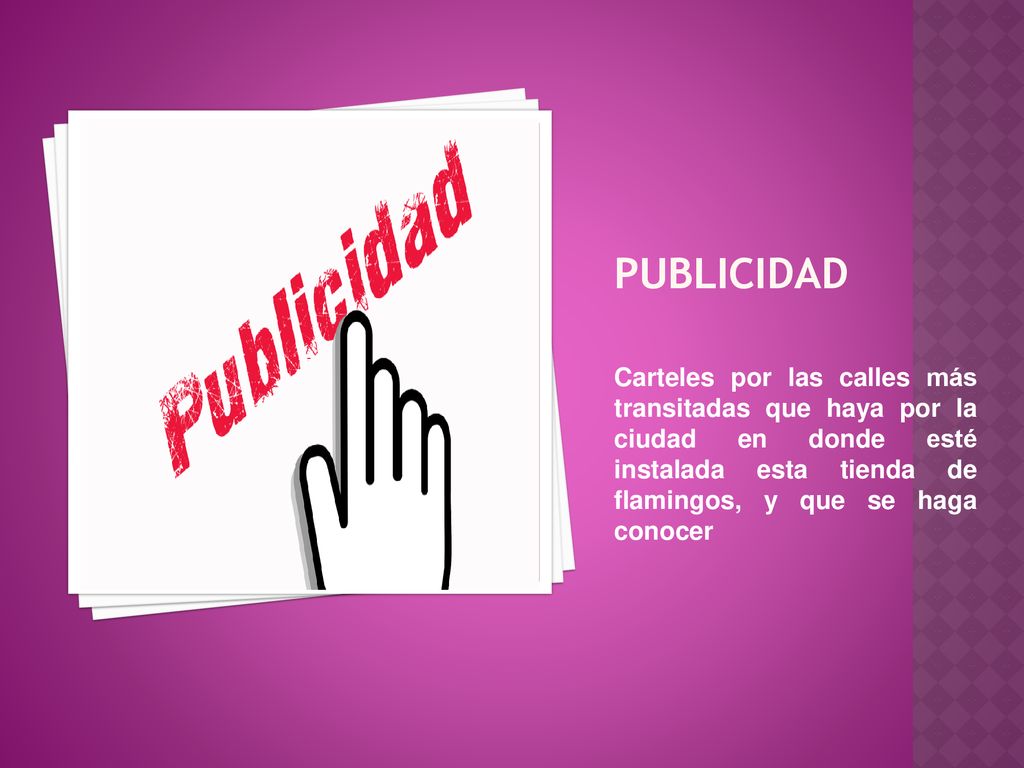 PUBLICIDAD Carteles por las calles más transitadas que haya por la ciudad en donde esté instalada esta tienda de flamingos, y que se haga conocer.