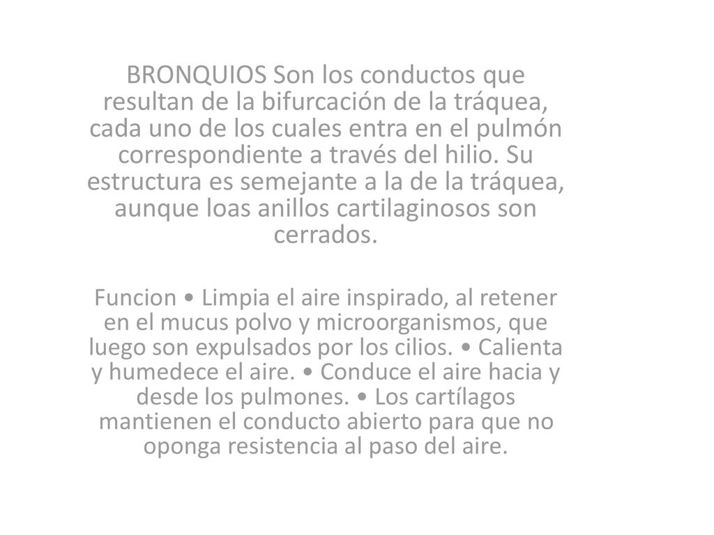 BRONQUIOS Son los conductos que resultan de la bifurcación de la tráquea, cada uno de los cuales entra en el pulmón correspondiente a través del hilio. Su estructura es semejante a la de la tráquea, aunque loas anillos cartilaginosos son cerrados.