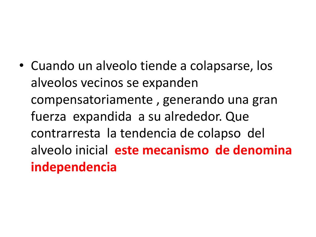 Cuando un alveolo tiende a colapsarse, los alveolos vecinos se expanden compensatoriamente , generando una gran fuerza expandida a su alrededor.