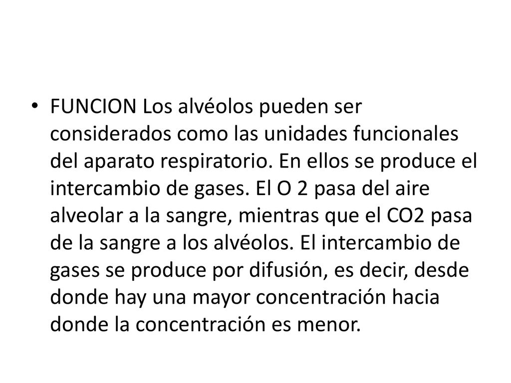 FUNCION Los alvéolos pueden ser considerados como las unidades funcionales del aparato respiratorio.
