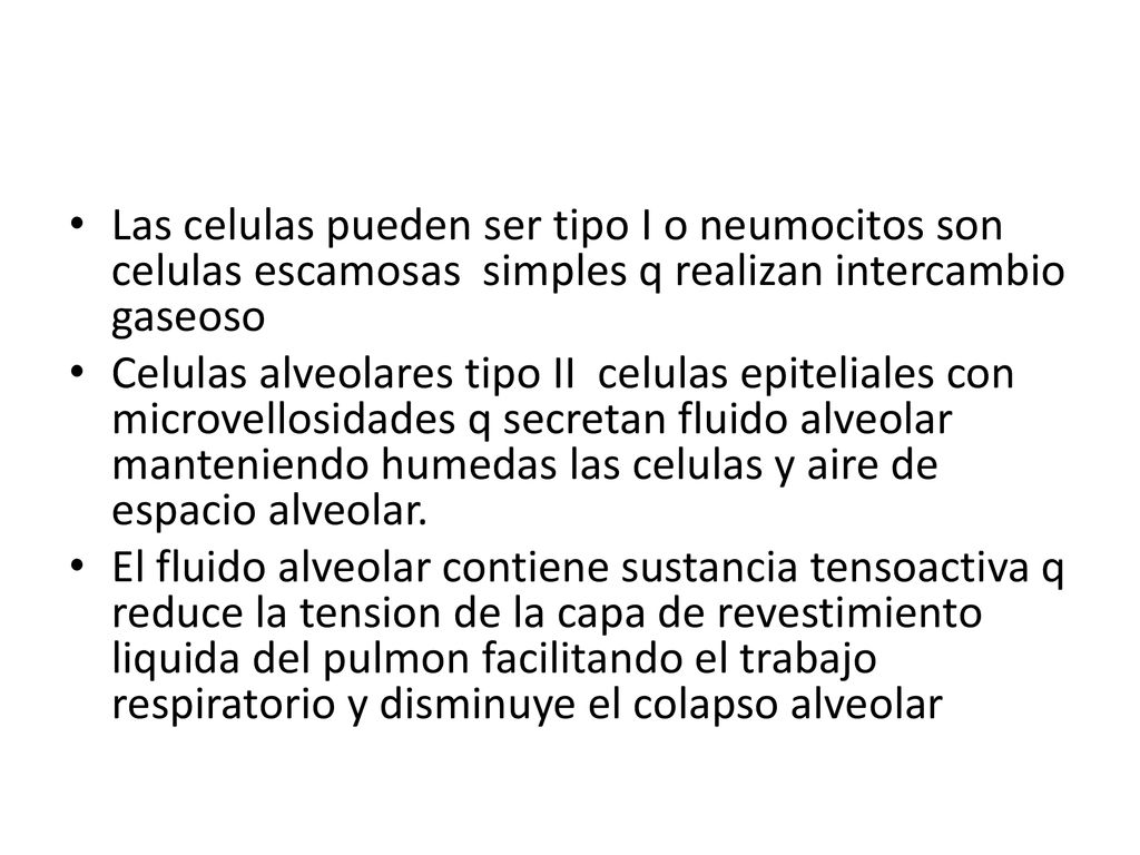 Las celulas pueden ser tipo I o neumocitos son celulas escamosas simples q realizan intercambio gaseoso