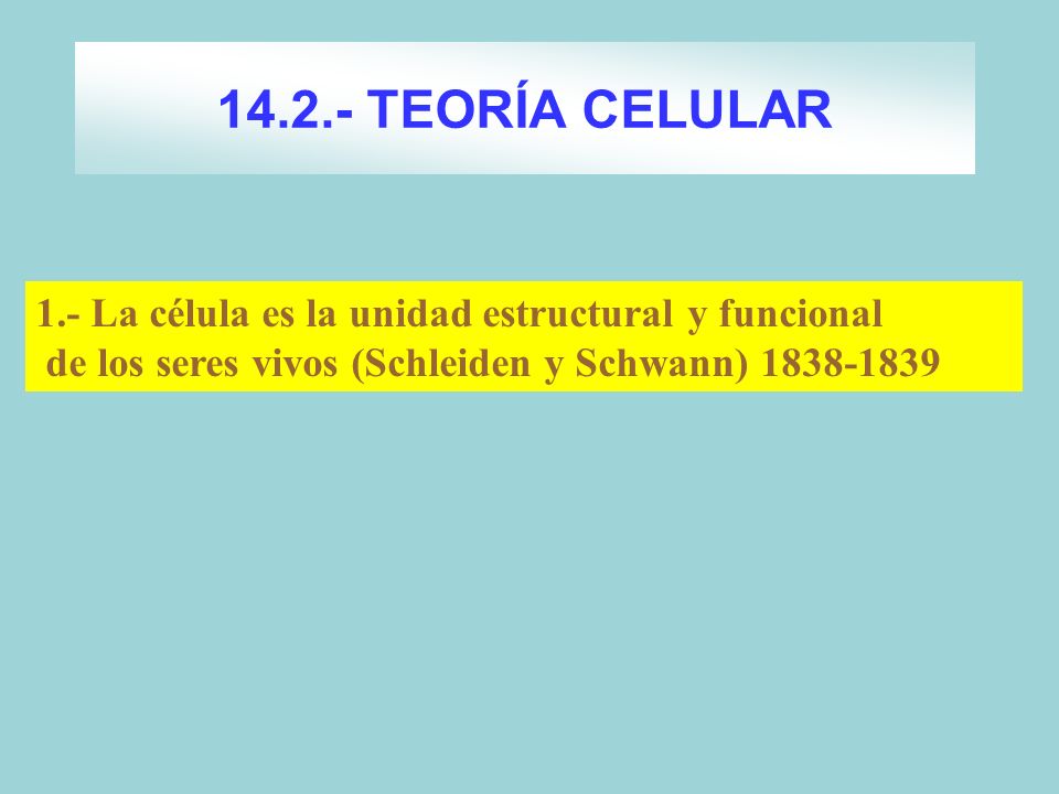 TEORÍA CELULAR 1.- La célula es la unidad estructural y funcional.