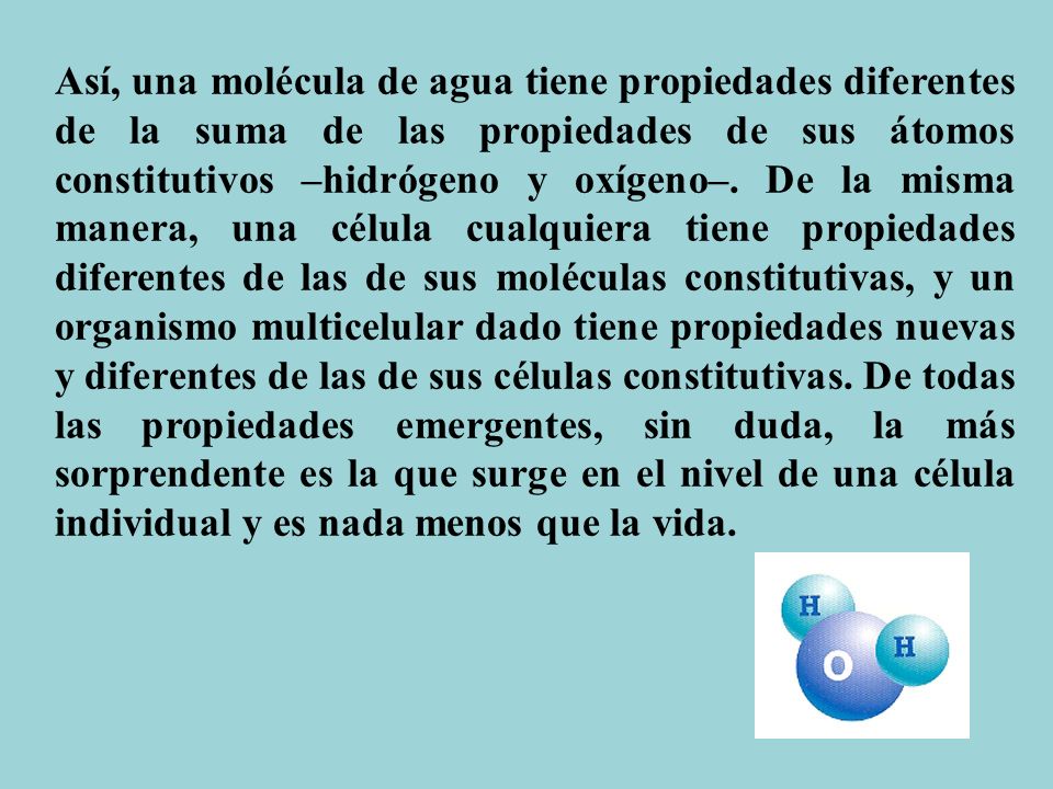 Así, una molécula de agua tiene propiedades diferentes de la suma de las propiedades de sus átomos constitutivos –hidrógeno y oxígeno–.