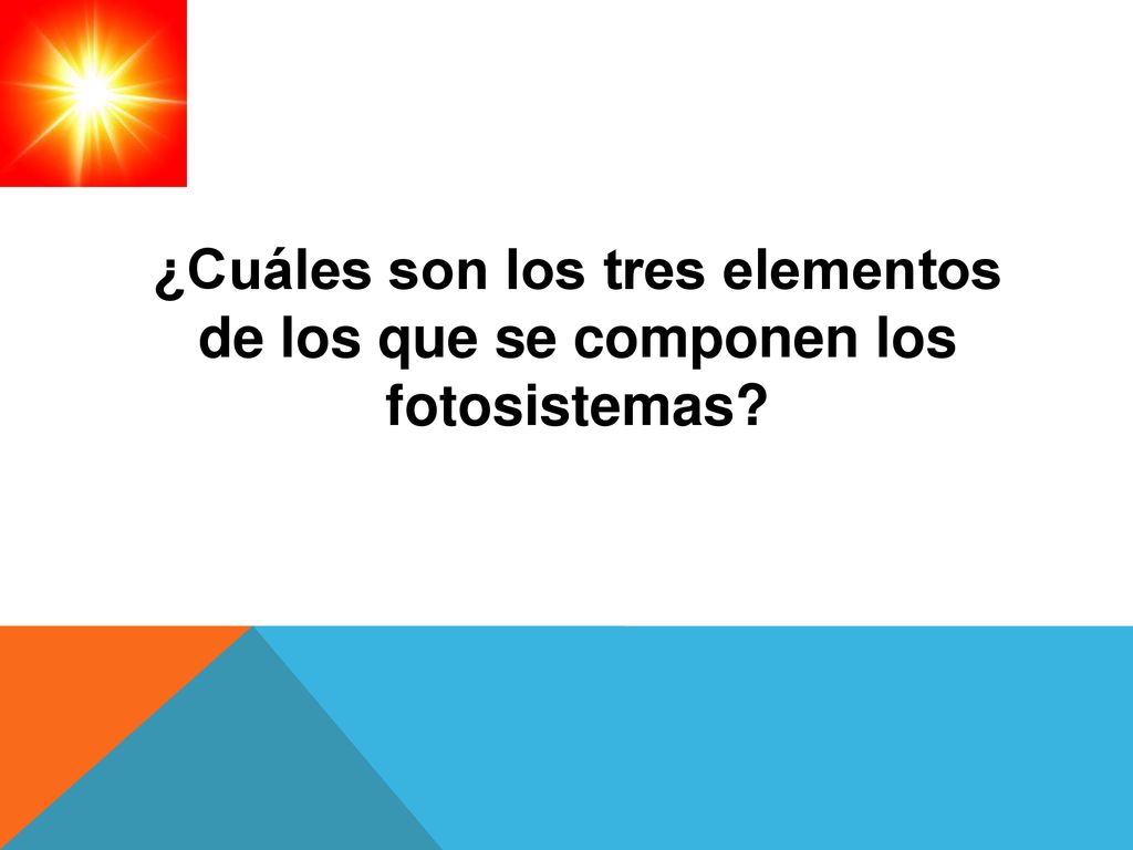 ¿Cuáles son los tres elementos de los que se componen los fotosistemas
