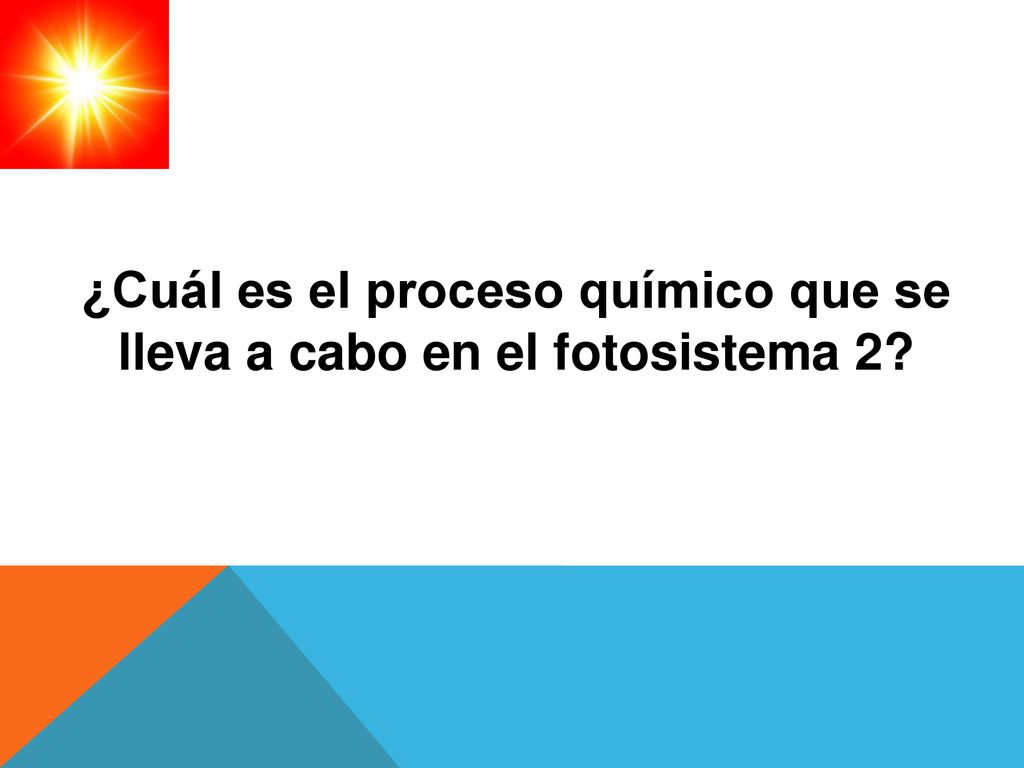 ¿Cuál es el proceso químico que se lleva a cabo en el fotosistema 2