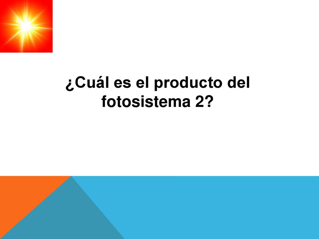 ¿Cuál es el producto del fotosistema 2