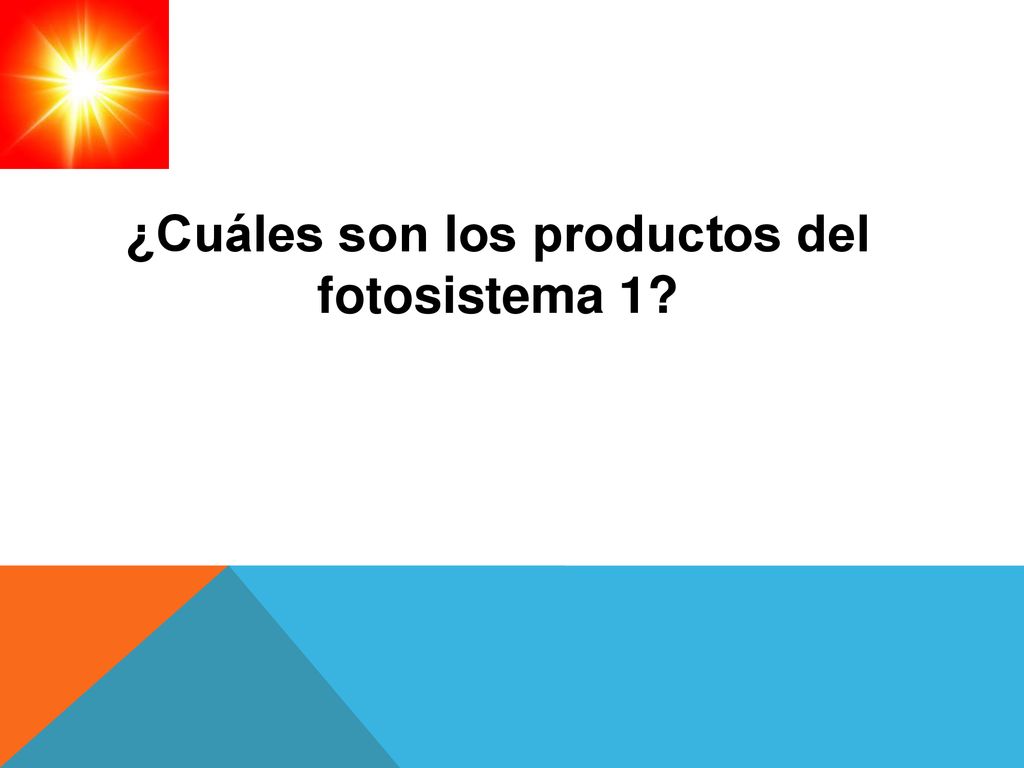¿Cuáles son los productos del fotosistema 1