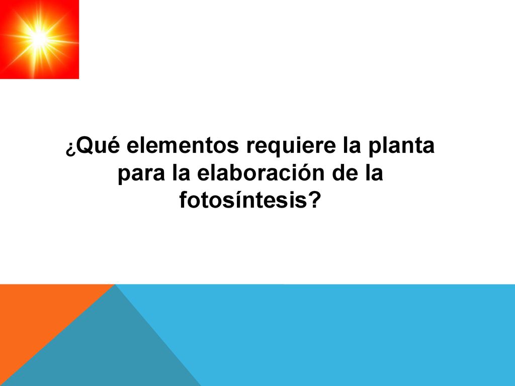¿Qué elementos requiere la planta para la elaboración de la fotosíntesis