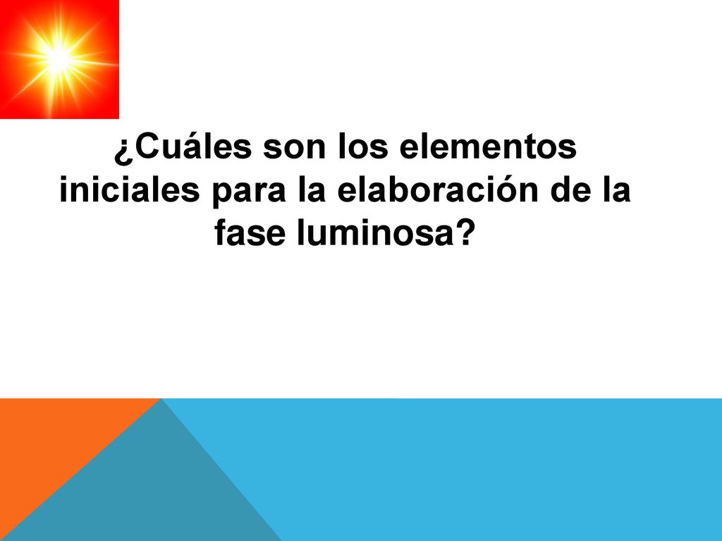 ¿Cuáles son los elementos iniciales para la elaboración de la fase luminosa
