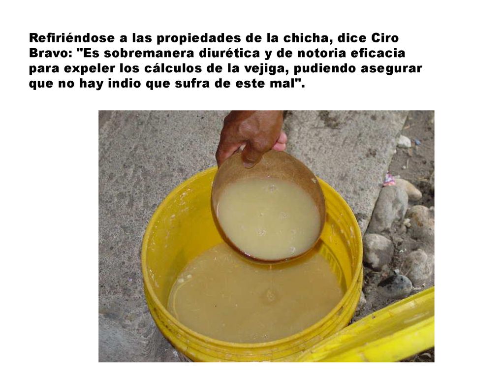 Refiriéndose a las propiedades de la chicha, dice Ciro Bravo: Es sobremanera diurética y de notoria eficacia para expeler los cálculos de la vejiga, pudiendo asegurar que no hay indio que sufra de este mal .