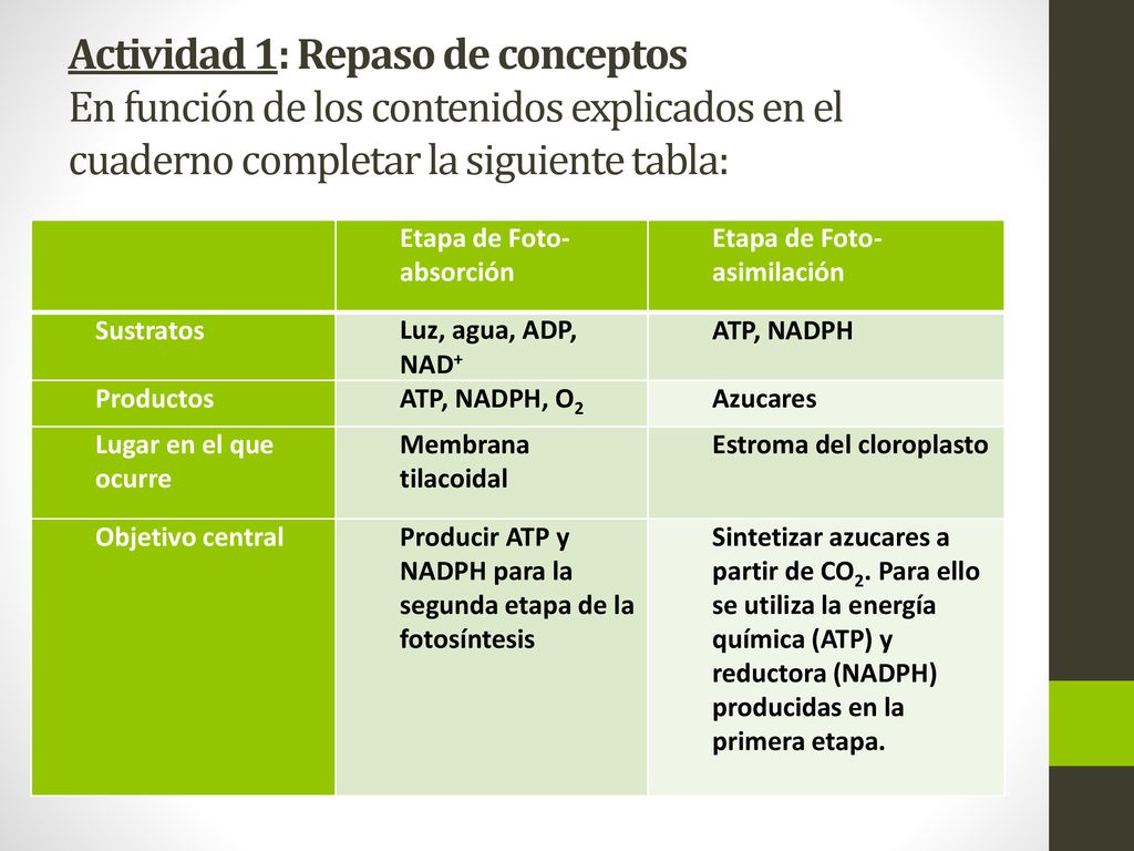 Actividad 1: Repaso de conceptos En función de los contenidos explicados en el cuaderno completar la siguiente tabla: