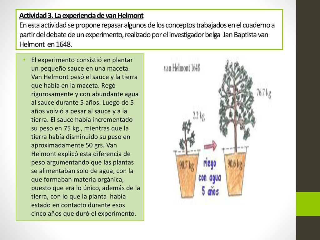 Actividad 3. La experiencia de van Helmont En esta actividad se propone repasar algunos de los conceptos trabajados en el cuaderno a partir del debate de un experimento, realizado por el investigador belga Jan Baptista van Helmont en 1648.
