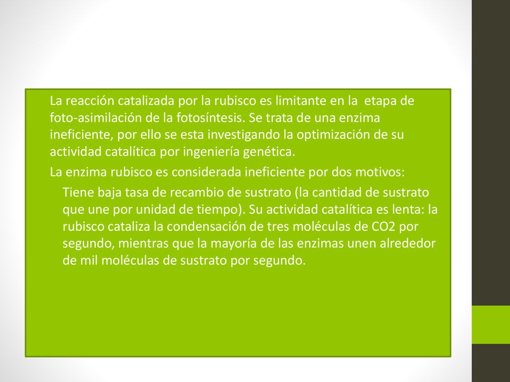 La reacción catalizada por la rubisco es limitante en la etapa de foto-asimilación de la fotosíntesis. Se trata de una enzima ineficiente, por ello se esta investigando la optimización de su actividad catalítica por ingeniería genética.