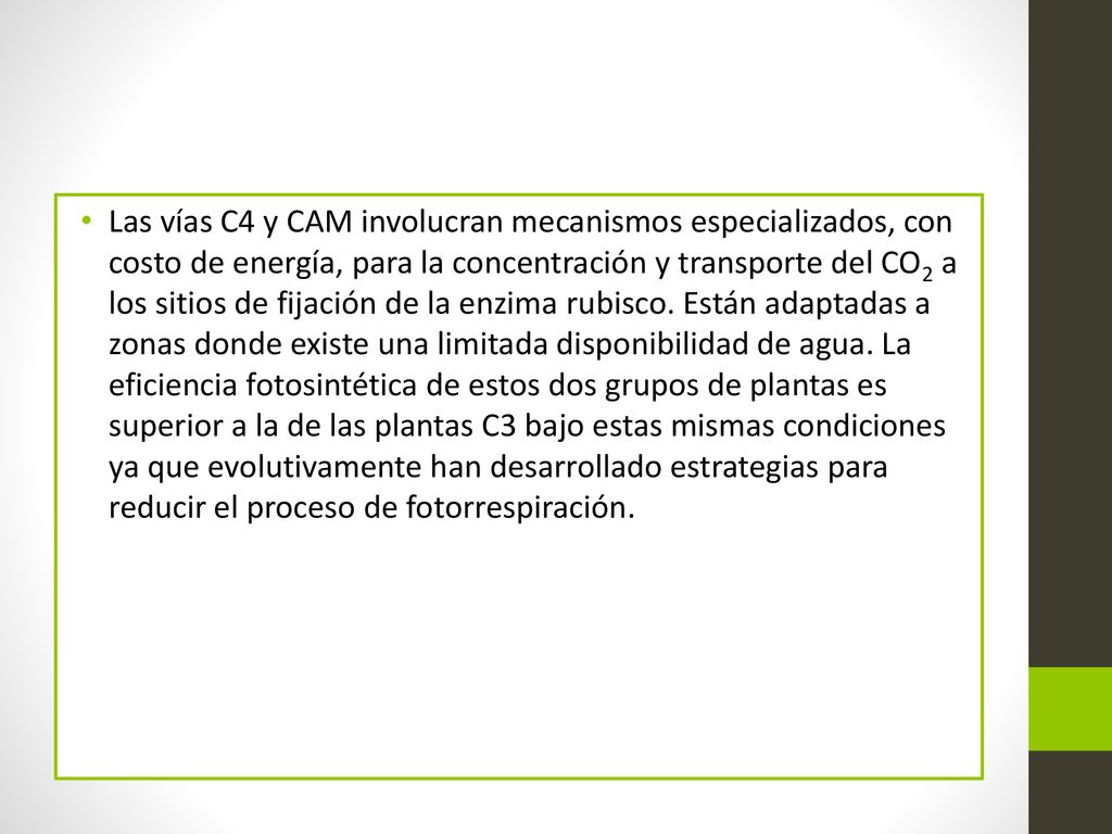 Las vías C4 y CAM involucran mecanismos especializados, con costo de energía, para la concentración y transporte del CO2 a los sitios de fijación de la enzima rubisco.