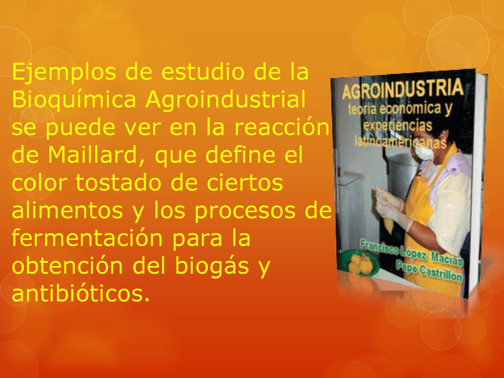 Ejemplos de estudio de la Bioquímica Agroindustrial se puede ver en la reacción de Maillard, que define el color tostado de ciertos alimentos y los procesos de fermentación para la obtención del biogás y antibióticos.