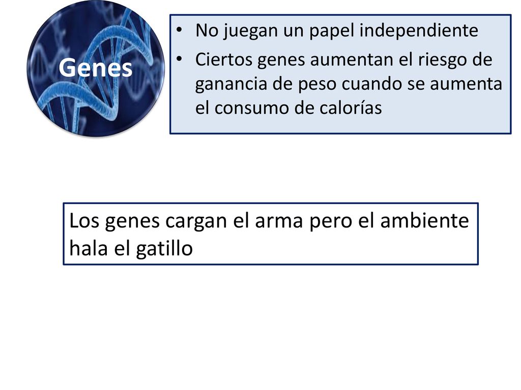 Genes Los genes cargan el arma pero el ambiente hala el gatillo