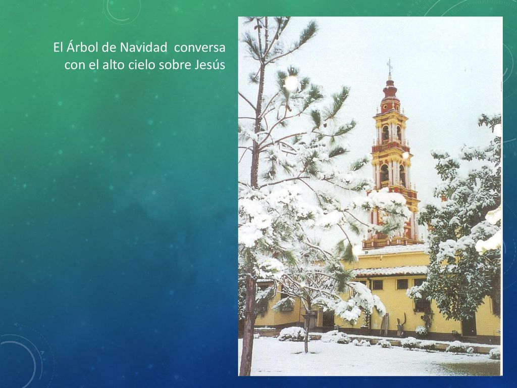 El Árbol de Navidad conversa con el alto cielo sobre Jesús