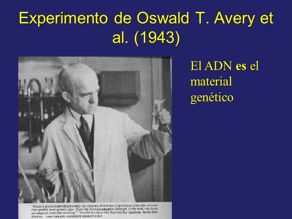 Experimento de Oswald T. Avery et al. (1943)