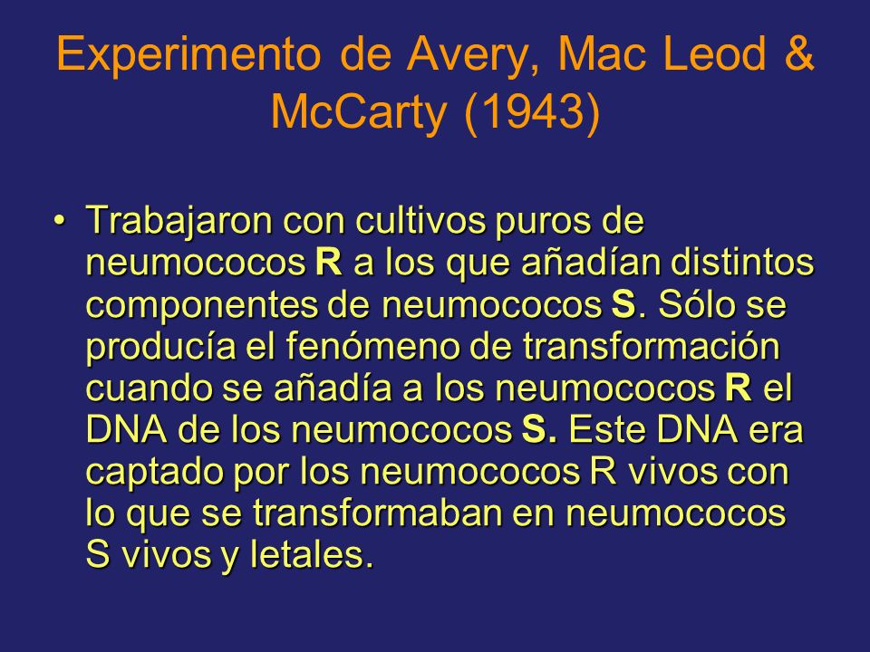 Experimento de Avery, Mac Leod & McCarty (1943)