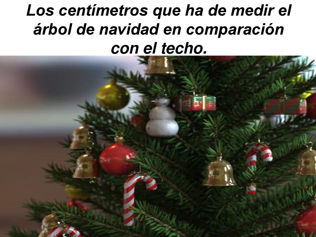 Los centímetros que ha de medir el árbol de navidad en comparación con el techo.