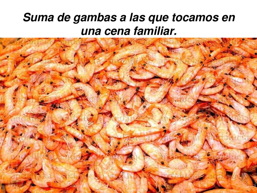 Suma de gambas a las que tocamos en una cena familiar.