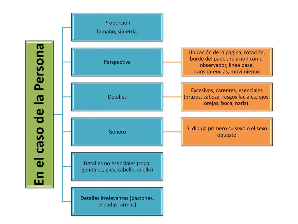 En el caso de la Persona Proporción Tamaño, simetría.