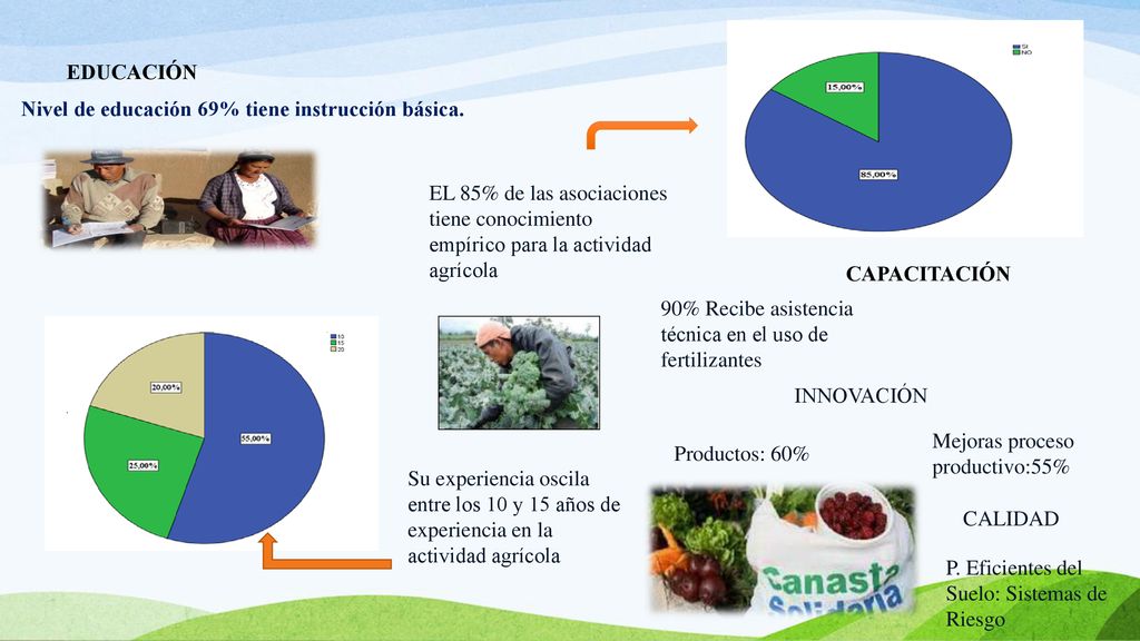 EDUCACIÓN Nivel de educación 69% tiene instrucción básica. EL 85% de las asociaciones tiene conocimiento empírico para la actividad agrícola.