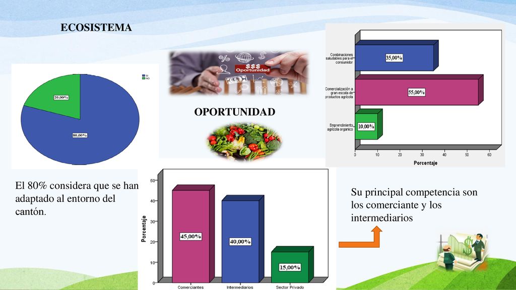 ECOSISTEMA OPORTUNIDAD. El 80% considera que se han adaptado al entorno del cantón.