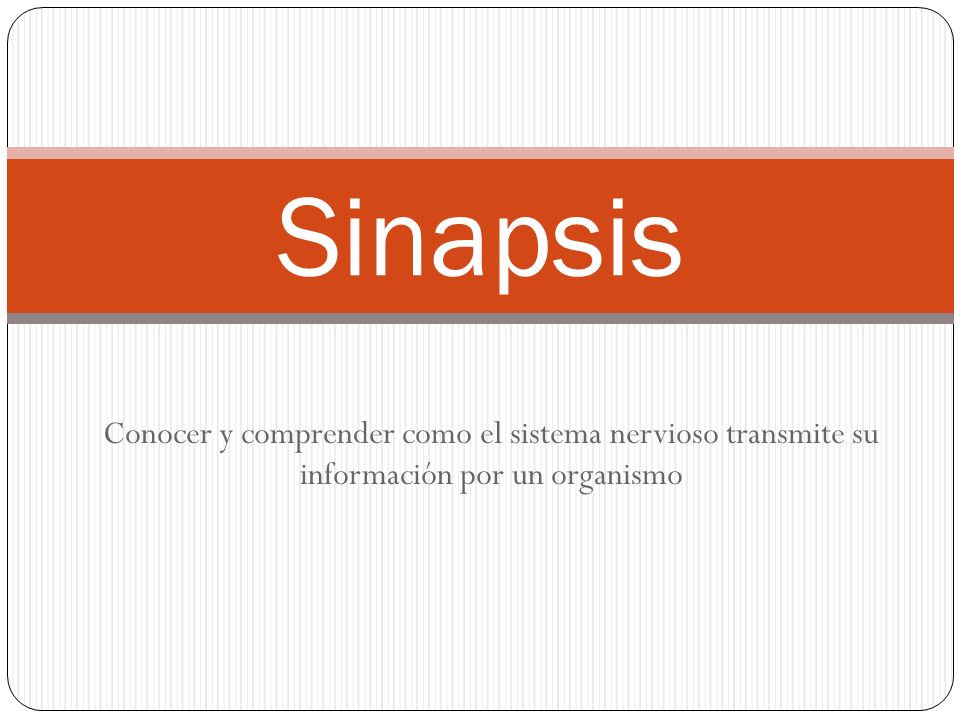 Sinapsis Conocer y comprender como el sistema nervioso transmite su información por un organismo