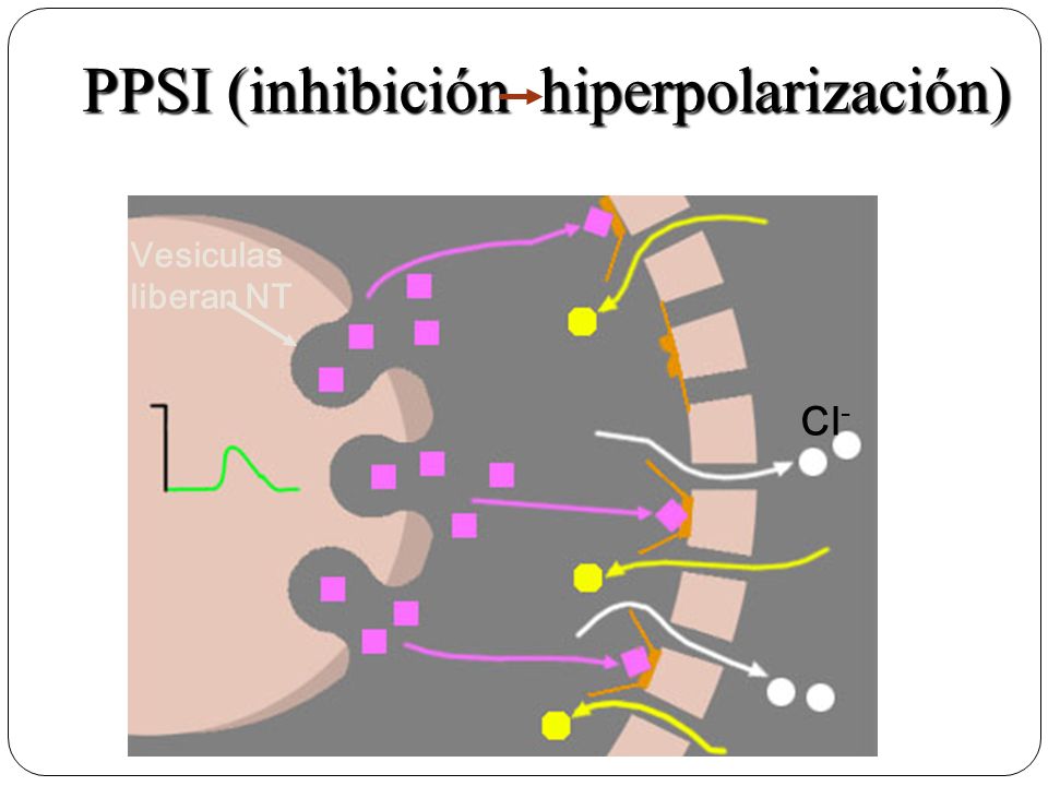 PPSI (inhibición hiperpolarización)