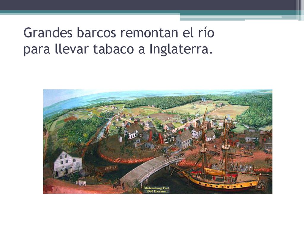 Grandes barcos remontan el río para llevar tabaco a Inglaterra.